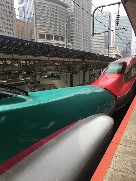Cambio di treni Shinkansen alla stazione di Tokyo